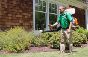 Natural mosquito control by professional business in Atlanta, GA 